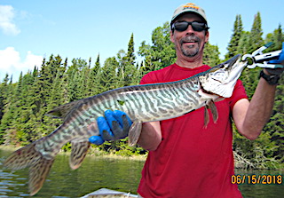 Tiger Muskie are a Blast Fishing at Fireside Lodge in Canada